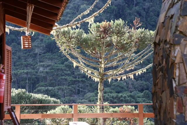 Celeiro Das Aguas Brancas Hotel Urubici Bagian luar foto