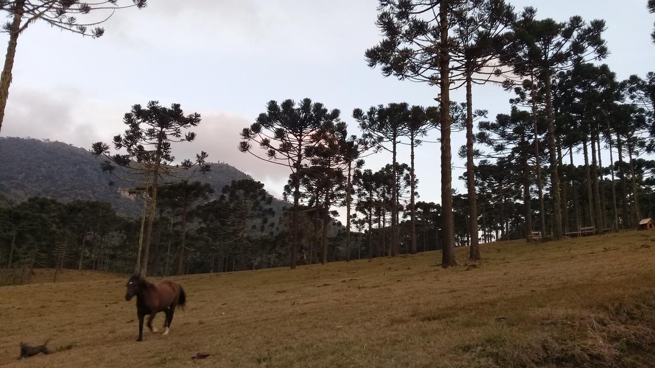 Celeiro Das Aguas Brancas Hotel Urubici Bagian luar foto